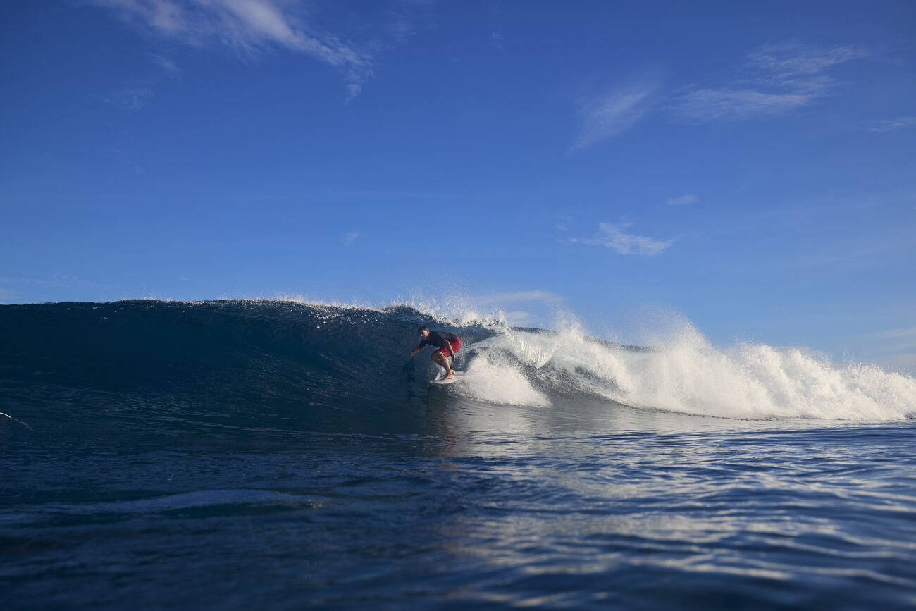 Golden barrel photographed from in the water